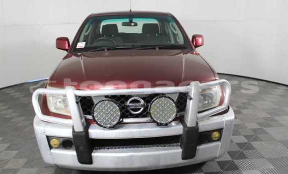 Acheter Occasion Voiture Nissan Navara Rouge à Nuku'alofa, Tongatapu Acheter Occasion Voiture Nissan Navara Rouge à Nuku'alofa, Tongatapu