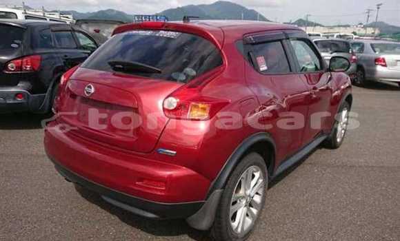 Acheter Occasion Voiture Nissan Juke Rouge à Nuku'alofa, Tongatapu Acheter Occasion Voiture Nissan Juke Rouge à Nuku'alofa, Tongatapu