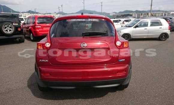 Acheter Occasion Voiture Nissan Juke Rouge à Nuku'alofa, Tongatapu Acheter Occasion Voiture Nissan Juke Rouge à Nuku'alofa, Tongatapu