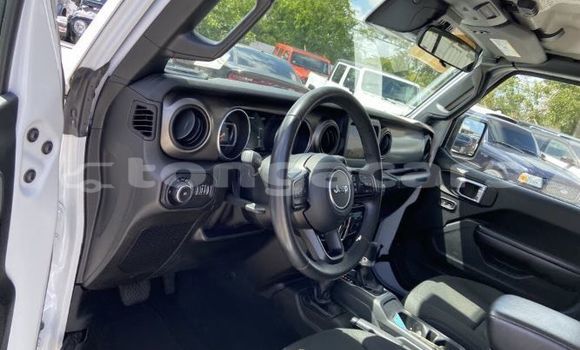 Acheter Occasion Voiture Jeep Wrangler Blanc à Import - Dubai, Eua Acheter Occasion Voiture Jeep Wrangler Blanc à Import - Dubai, Eua