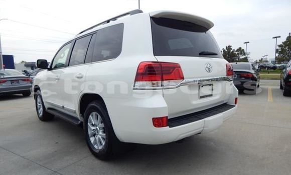 Acheter Occasion Voiture Toyota Land Cruiser Blanc à Tofoa–Koloua, Tongatapu Acheter Occasion Voiture Toyota Land Cruiser Blanc à Tofoa–Koloua, Tongatapu