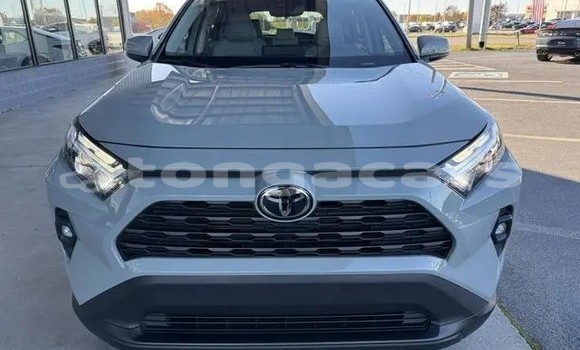 Buy Used Toyota RAV4 Other Car in Import - Dubai in Eua