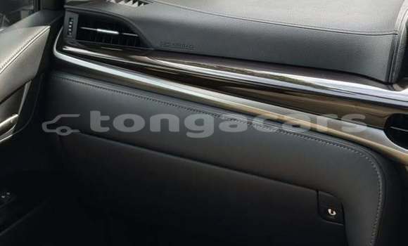 Buy Used Lexus LX White Car in Nuku'alofa in Tongatapu Buy Used Lexus LX White Car in Nuku'alofa in Tongatapu