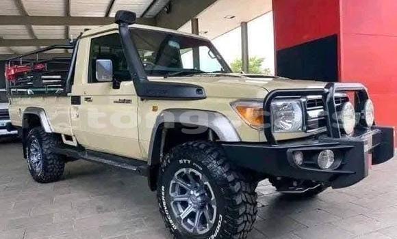 Buy Used Toyota Land Cruiser Beige Car in Hihifo in Niuas