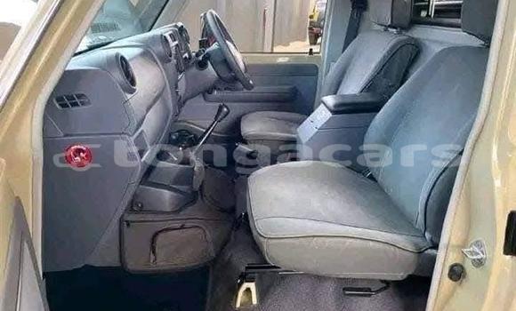 Buy Used Toyota Land Cruiser Beige Car in Hihifo in Niuas Buy Used Toyota Land Cruiser Beige Car in Hihifo in Niuas