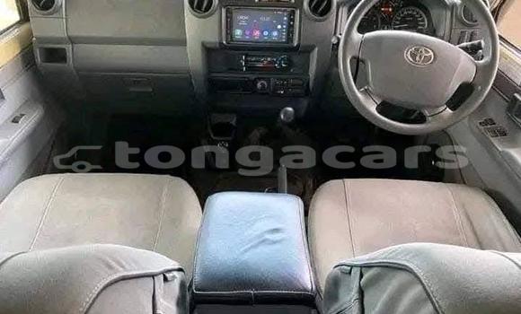 Buy Used Toyota Land Cruiser Beige Car in Hihifo in Niuas Buy Used Toyota Land Cruiser Beige Car in Hihifo in Niuas