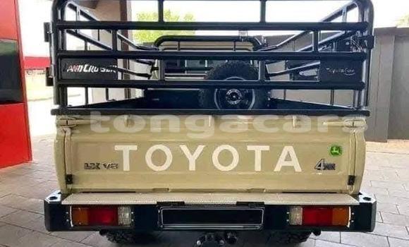 Buy Used Toyota Land Cruiser Beige Car in Hihifo in Niuas Buy Used Toyota Land Cruiser Beige Car in Hihifo in Niuas
