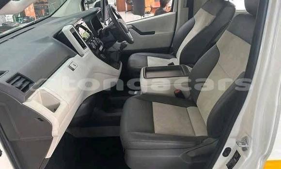 Buy Used Toyota HiAce White Truck in Nuku'alofa in Tongatapu Buy Used Toyota HiAce White Truck in Nuku'alofa in Tongatapu