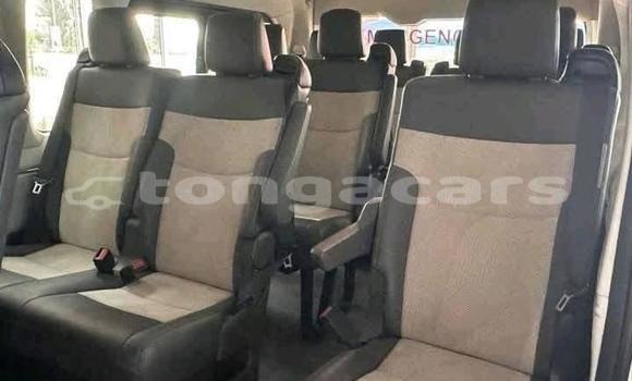 Buy Used Toyota HiAce White Truck in Nuku'alofa in Tongatapu Buy Used Toyota HiAce White Truck in Nuku'alofa in Tongatapu