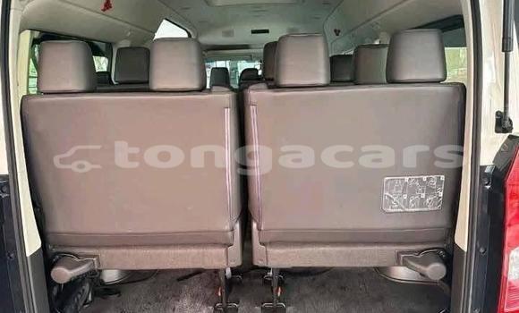 Buy Used Toyota HiAce White Truck in Nuku'alofa in Tongatapu Buy Used Toyota HiAce White Truck in Nuku'alofa in Tongatapu
