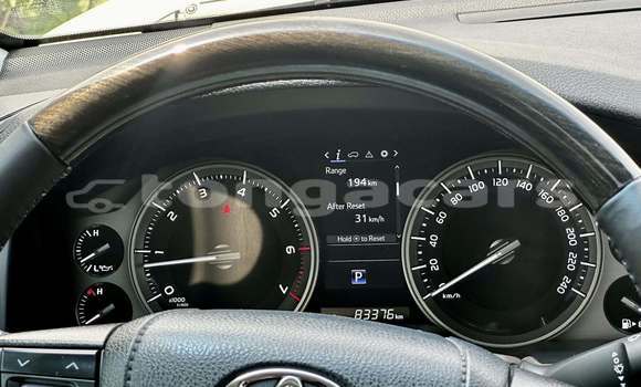 Buy Used Toyota Land Cruiser White Car in Nukunuku in Tongatapu Buy Used Toyota Land Cruiser White Car in Nukunuku in Tongatapu