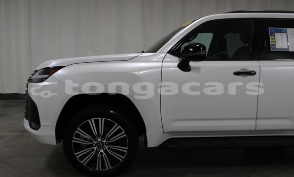 Buy Used Lexus LX White Car in Tofua in Ha'apai Buy Used Lexus LX White Car in Tofua in Ha'apai