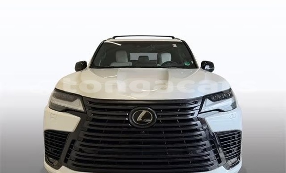 Buy Used Lexus LX White Car in Nuku'alofa in Tongatapu