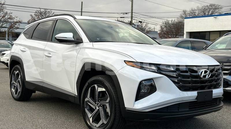 Big with watermark hyundai tucson tongatapu nuku alofa 762