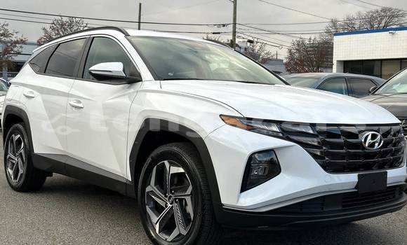 Buy Used Hyundai Tucson White Car in Nuku'alofa in Tongatapu