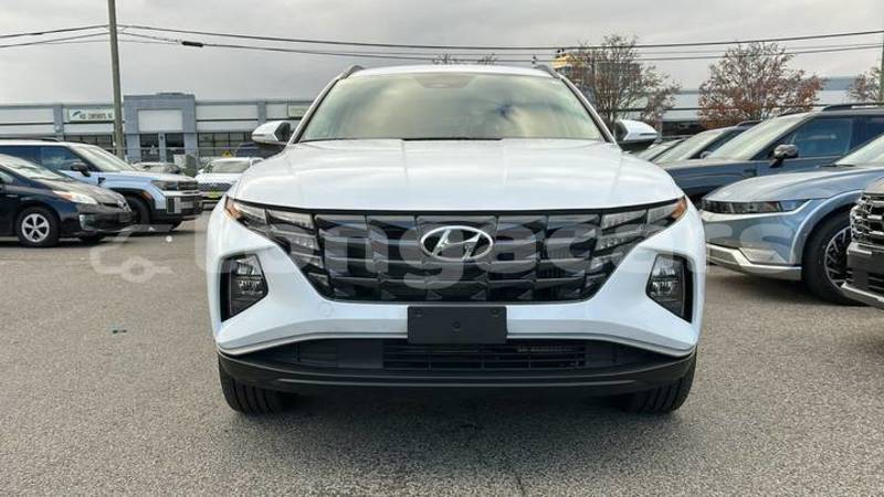 Big with watermark hyundai tucson tongatapu nuku alofa 762