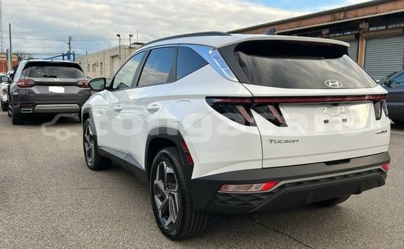 Big with watermark hyundai tucson tongatapu nuku alofa 762