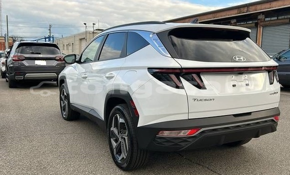 Acheter Occasion Voiture Hyundai Tucson Blanc à Nuku'alofa, Tongatapu Acheter Occasion Voiture Hyundai Tucson Blanc à Nuku'alofa, Tongatapu