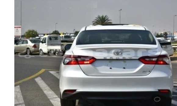 Acheter Occasion Voiture Toyota Camry Blanc à Nuku'alofa, Tongatapu Acheter Occasion Voiture Toyota Camry Blanc à Nuku'alofa, Tongatapu