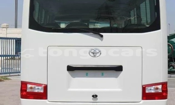 Acheter Occasion Voiture Toyota Coaster Blanc à Nuku'alofa, Tongatapu Acheter Occasion Voiture Toyota Coaster Blanc à Nuku'alofa, Tongatapu