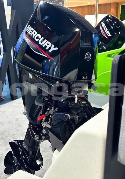 Big with watermark mercury