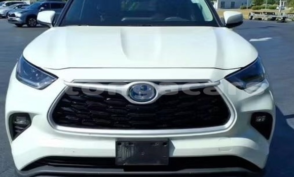 Buy Used Toyota Highlander White Car in Nuku'alofa in Tongatapu