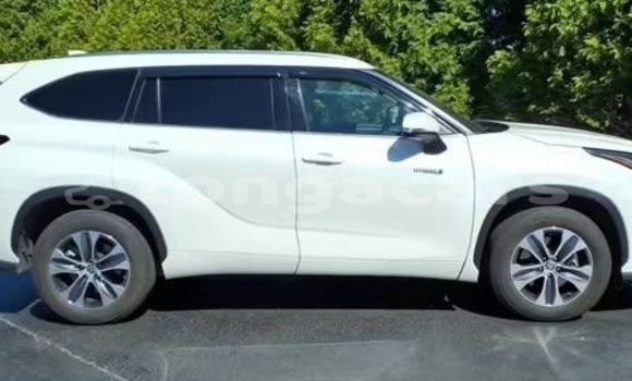 Acheter Occasion Voiture Toyota Highlander Blanc à Nuku'alofa, Tongatapu Acheter Occasion Voiture Toyota Highlander Blanc à Nuku'alofa, Tongatapu