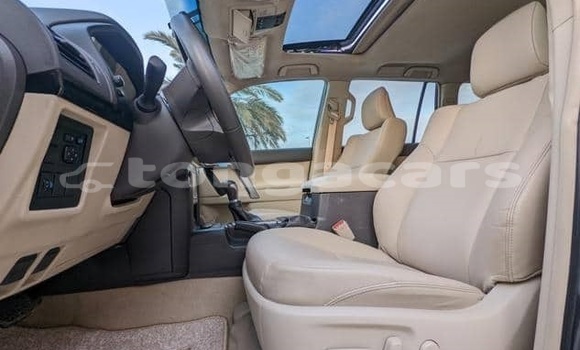 Buy Used Toyota Land Cruiser Prado Other Car in Nuku'alofa in Tongatapu Buy Used Toyota Land Cruiser Prado Other Car in Nuku'alofa in Tongatapu