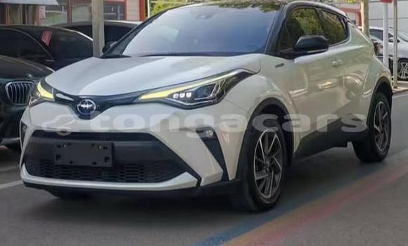 Buy Used Toyota C-HR White Car in Nuku'alofa in Tongatapu