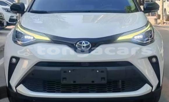 Buy Used Toyota C-HR White Car in Nuku'alofa in Tongatapu Buy Used Toyota C-HR White Car in Nuku'alofa in Tongatapu