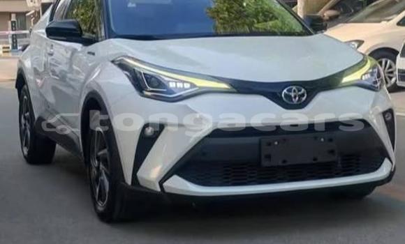 Buy Used Toyota C-HR White Car in Nuku'alofa in Tongatapu Buy Used Toyota C-HR White Car in Nuku'alofa in Tongatapu