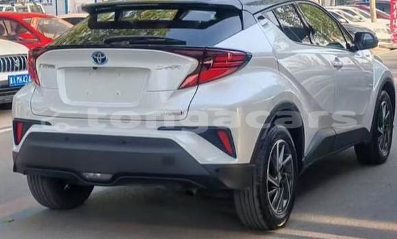 Buy Used Toyota C-HR White Car in Nuku'alofa in Tongatapu Buy Used Toyota C-HR White Car in Nuku'alofa in Tongatapu