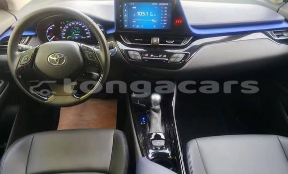 Buy Used Toyota C-HR White Car in Nuku'alofa in Tongatapu Buy Used Toyota C-HR White Car in Nuku'alofa in Tongatapu