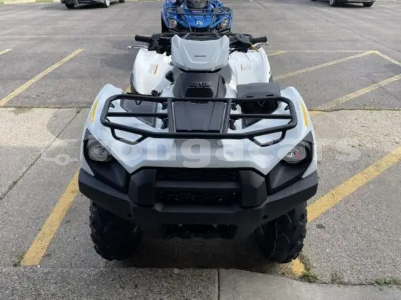 Big with watermark kawasaki brute force ha apai muitoa 820