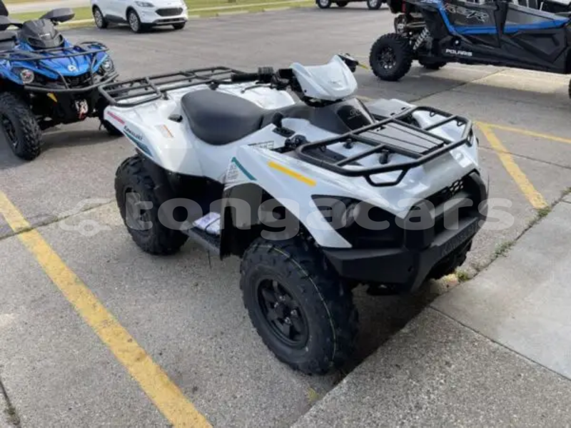 Big with watermark kawasaki brute force ha apai muitoa 820