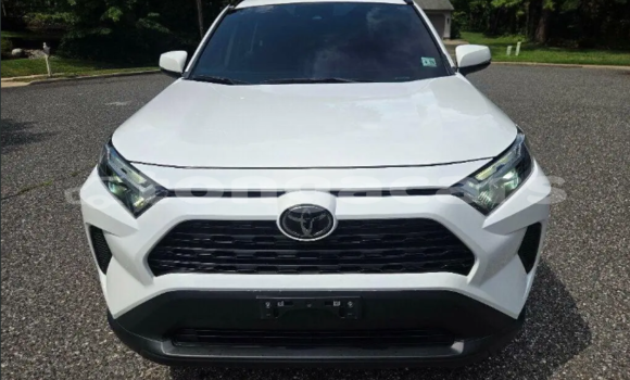 Buy Used Toyota RAV4 White Car in Hihifo in Niuas