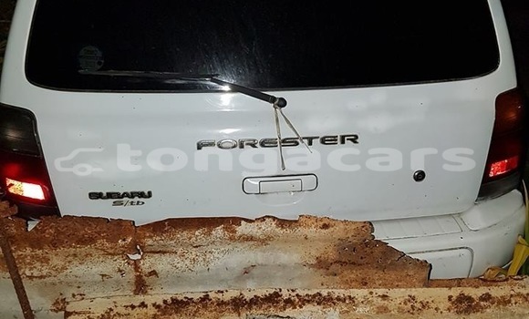 Acheter Occasion Voiture Subaru Forrester Blanc à Nuku'alofa, Tongatapu
