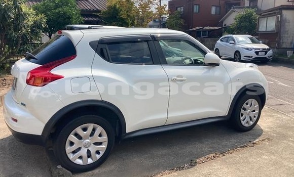 Buy Used Nissan Juke White Car in Haveloloto in Tongatapu Buy Used Nissan Juke White Car in Haveloloto in Tongatapu