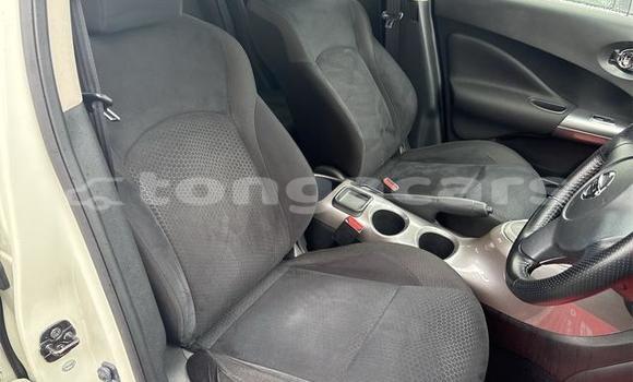 Buy Used Nissan Juke White Car in Haveloloto in Tongatapu Buy Used Nissan Juke White Car in Haveloloto in Tongatapu