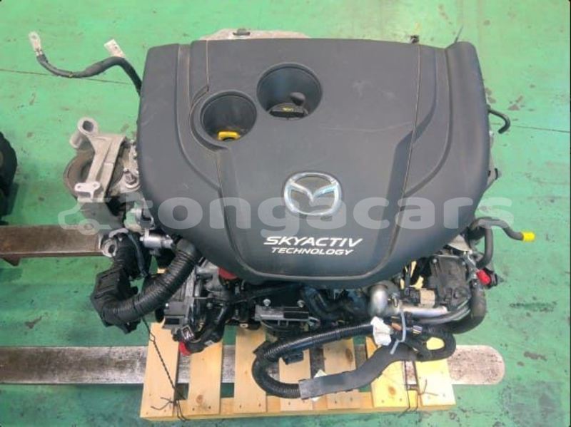 Big with watermark 156