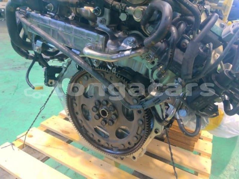 Big with watermark qwdq