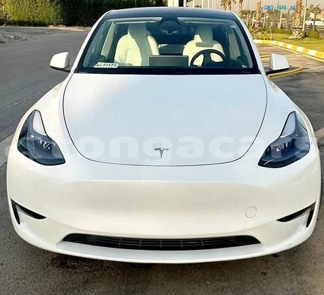 Big with watermark tesla model x tongatapu nuku alofa 857
