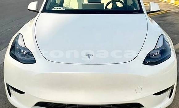 Buy Used Tesla Model X White Car in Nuku'alofa in Tongatapu Buy Used Tesla Model X White Car in Nuku'alofa in Tongatapu