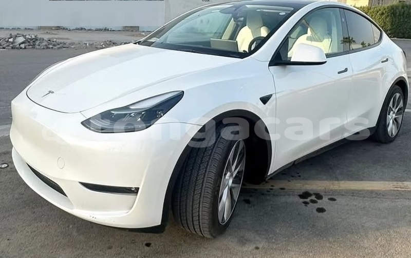 Big with watermark tesla model x tongatapu nuku alofa 857