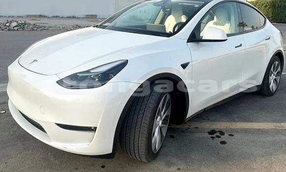 Buy Used Tesla Model X White Car in Nuku'alofa in Tongatapu Buy Used Tesla Model X White Car in Nuku'alofa in Tongatapu