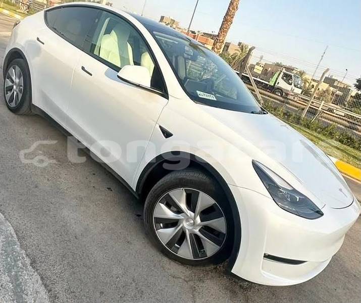 Big with watermark tesla model x tongatapu nuku alofa 857