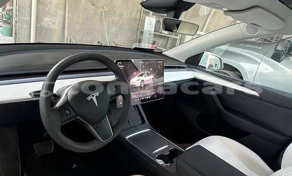Buy Used Tesla Model X White Car in Nuku'alofa in Tongatapu Buy Used Tesla Model X White Car in Nuku'alofa in Tongatapu