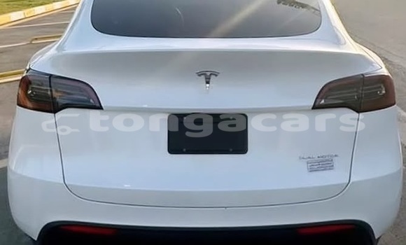 Buy Used Tesla Model X White Car in Nuku'alofa in Tongatapu Buy Used Tesla Model X White Car in Nuku'alofa in Tongatapu