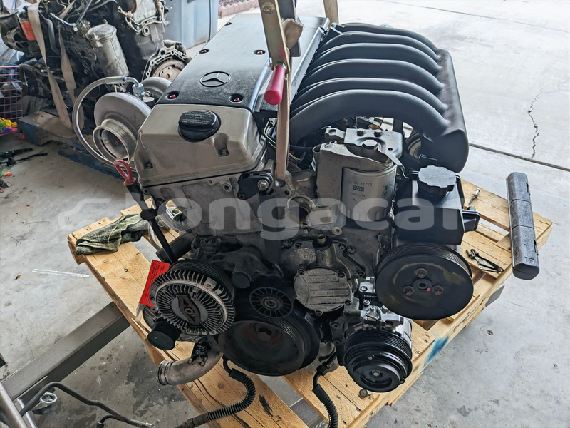 Big with watermark e