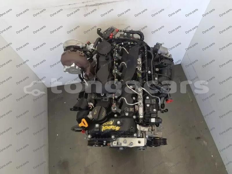 Big with watermark 4